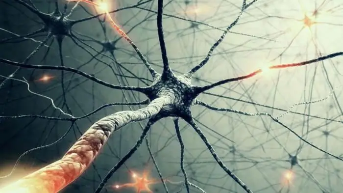 Neuronale Netze Science-Fiction