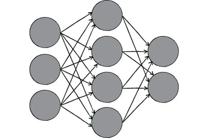 nuwe neurale netwerke