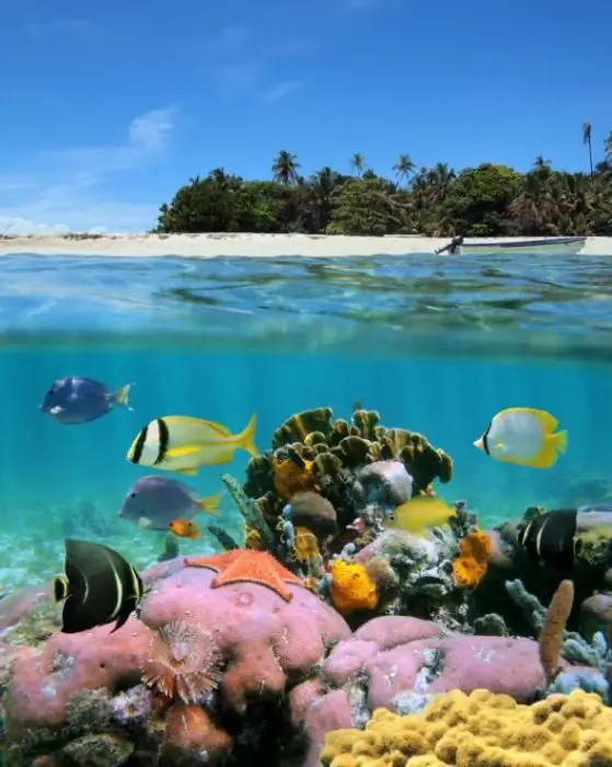 Zaj Dab Neeg Kawg tau nyob qhov twg? Bocas del Toro, Panama - zaj dab neeg rau txhua tus neeg Lavxias