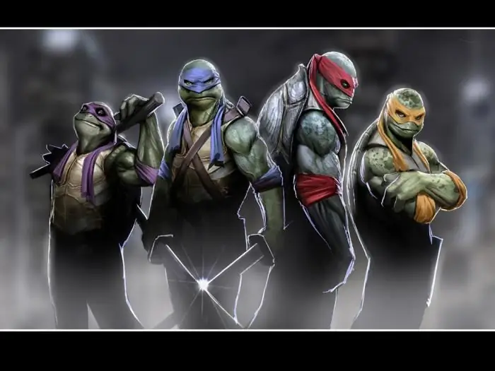 Jina la Teenage Mutant Ninja Turtles ni nani? Nani ni nani kati ya mashujaa wa kijani kibichi