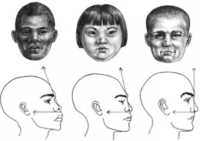 Wie man ein Gesichtsprofil eines Mädchens, eines Kindes und eines erwachsenen Mannes zeichnet