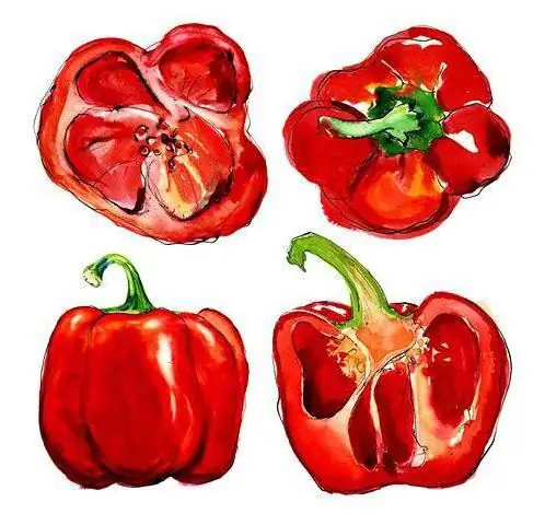 how to draw a pepper with a pencil step by step