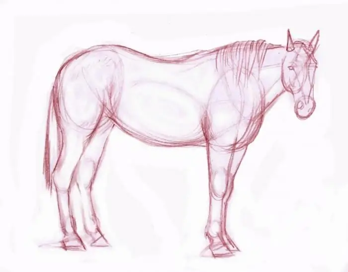 How to draw a horse with a pencil