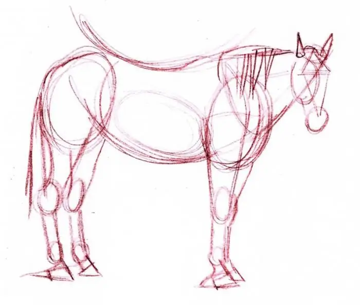 How to draw a horse with a simple pencil