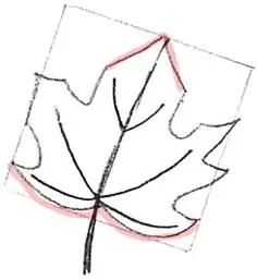 How to draw a maple leaf step by step