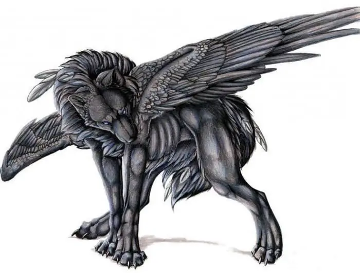 Wolf with wings: how to draw in stages?