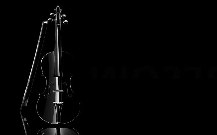 What is a violin? The structure and functions of the violin