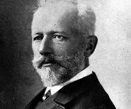 Ballet "Swan Lake". Tchaikovsky's ballet "Swan Lake" Ballet "Swan Lake". Tchaikovsky's ballet "Swan Lake"