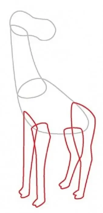 How to draw a giraffe step by step