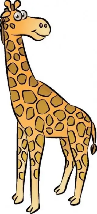 Colored cartoon giraffe