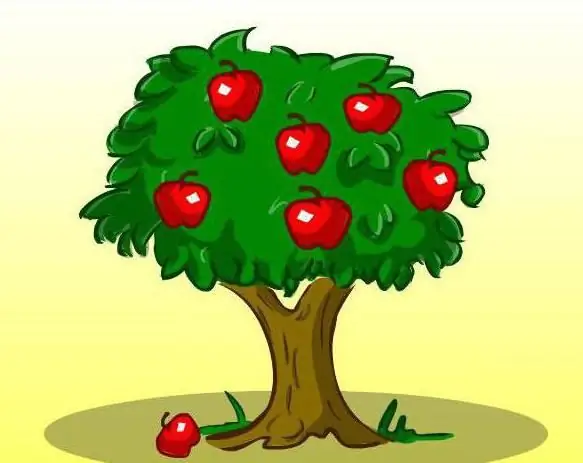 how to draw an apple tree with apples