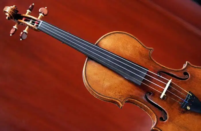 Come determinare la dimensione di un violino. Dimensioni del violino per età