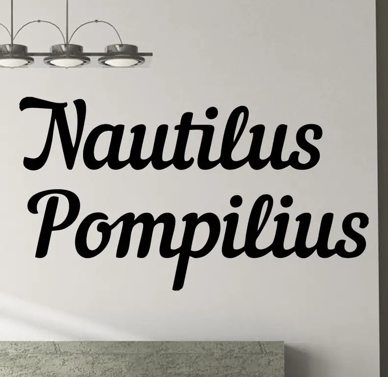 "Nautilus Pompilius": ang komposisyon ng grupo, soloista, kasaysayan ng paglikha, mga pagbabago sa komposisyon at mga larawan ng mga musikero