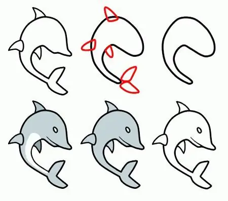 how to draw a dolphin step by step