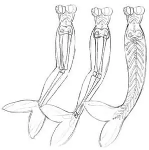 Schritt für Schritt Anleitung, wie man eine Meerjungfrau zeichnet
