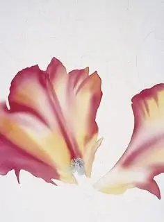 Wie man eine Blume in Aquarell m alt. Vier Schritte