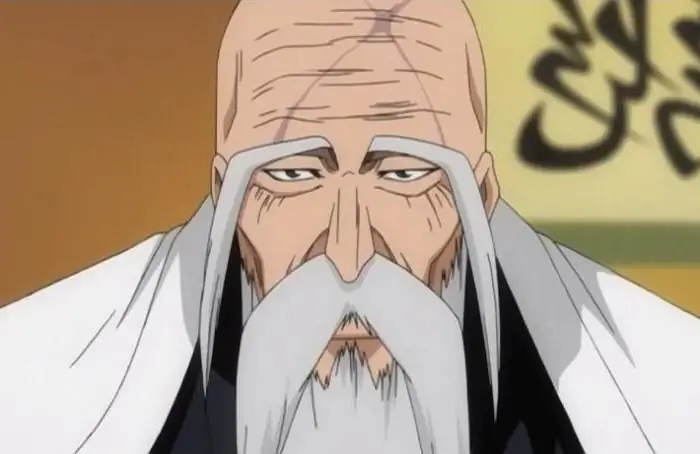 Gotei-13 Commander-in-Chief Yamamoto Genryusai: character, abilities, character biography Gotei-13 Commander-in-Chief Yamamoto Genryusai: character, abilities, character biography