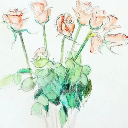 How to draw a bouquet of roses in pencil and watercolor