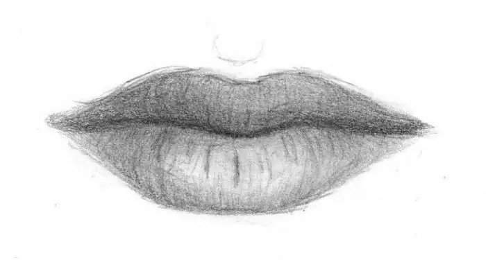 como dibujar labios