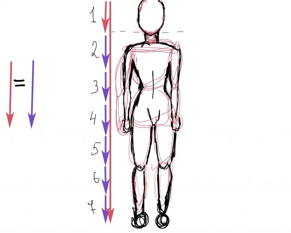 lub cev proportions