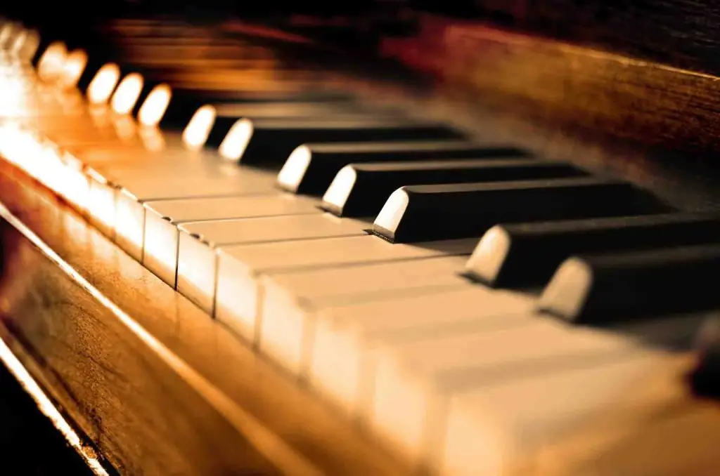 Ai là người phát minh ra đàn piano: ngày thành lập, lịch sử xuất hiện, phát triển và tiến hóa của một loại nhạc cụ