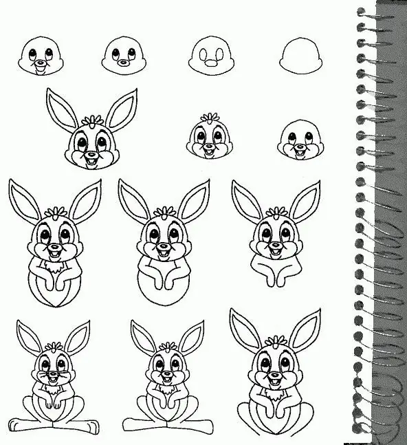 comment dessiner un lapin étape par étape