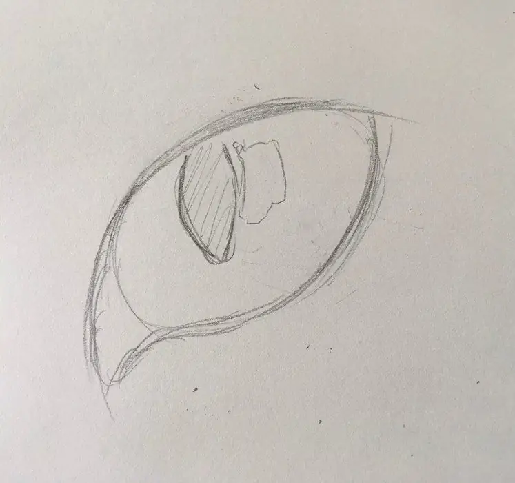 cat eye sketch