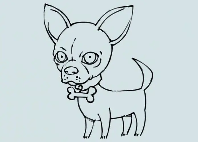 como dibujar un perro chihuahua con un lapiz