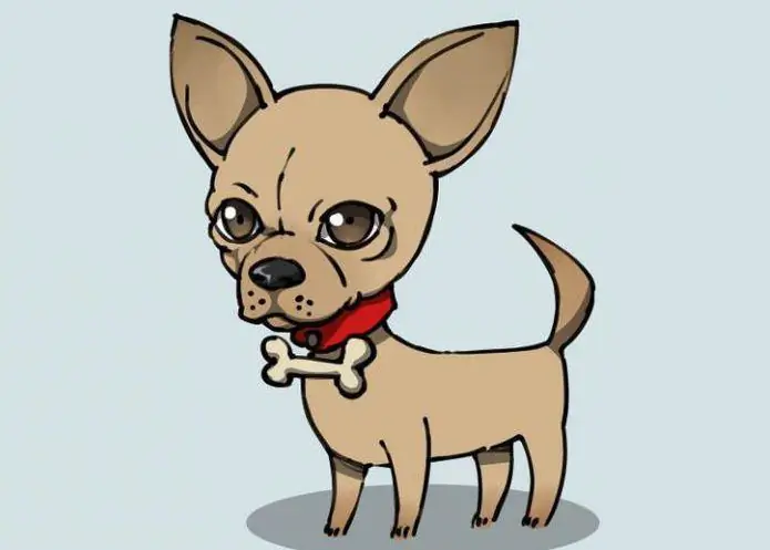 how to draw a chihuahua dog with a pencil