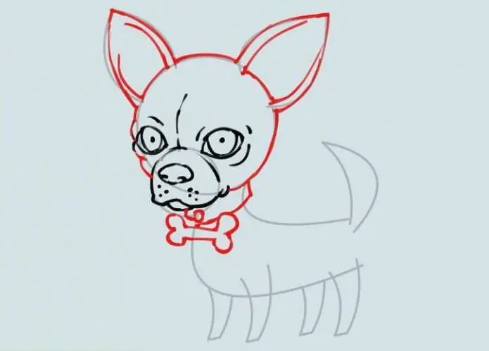 how to draw a chihuahua dog with a pencil