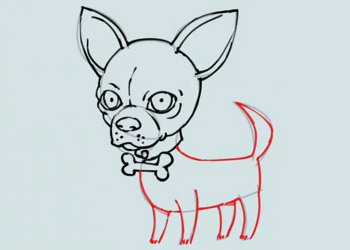 como desenhar um cachorro chihuahua com um lápis