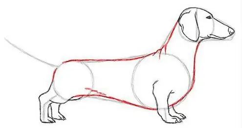 cara melukis dachshund dengan pensil