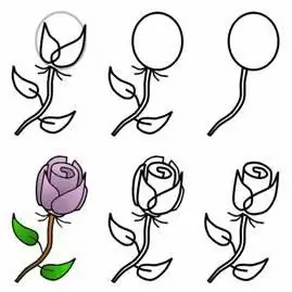 how to draw beautiful flowers