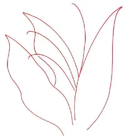 draw a lily of the valley