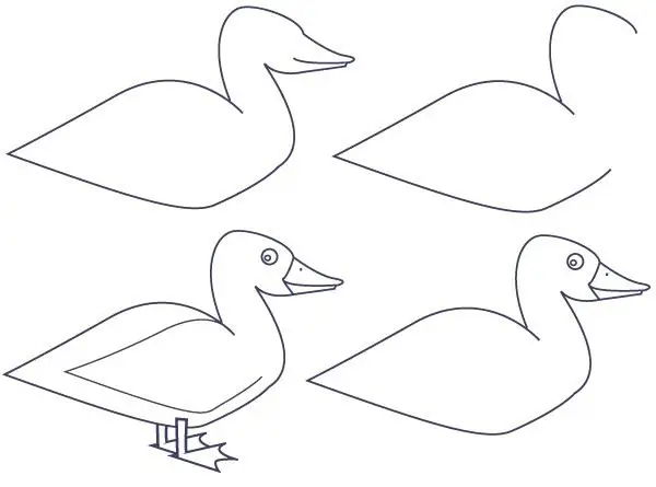 comment dessiner un canard