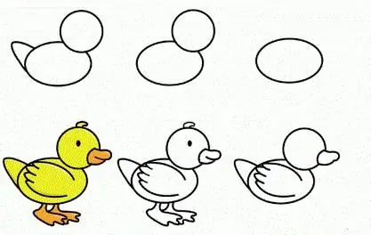 comment dessiner un canard avec un crayon progressivement