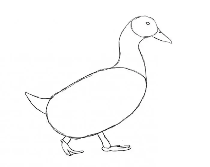 How to draw a duck beautifully?