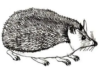 we draw the spines of a hedgehog with a Christmas tree