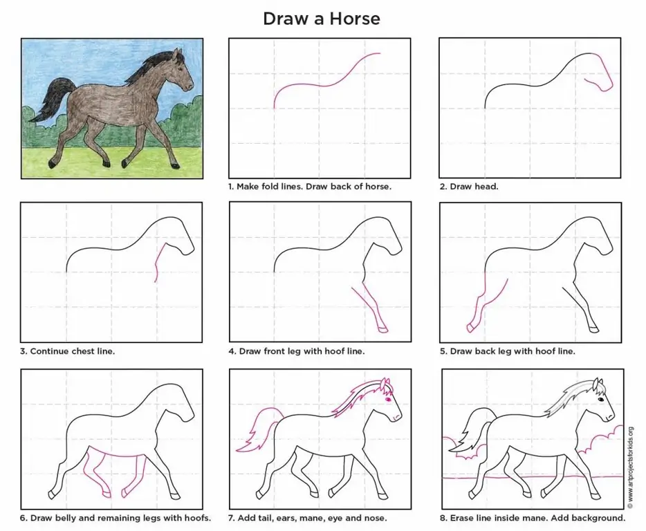 horse drawing step by step