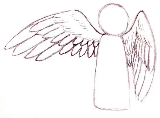 How to draw wings? Instruction for beginners