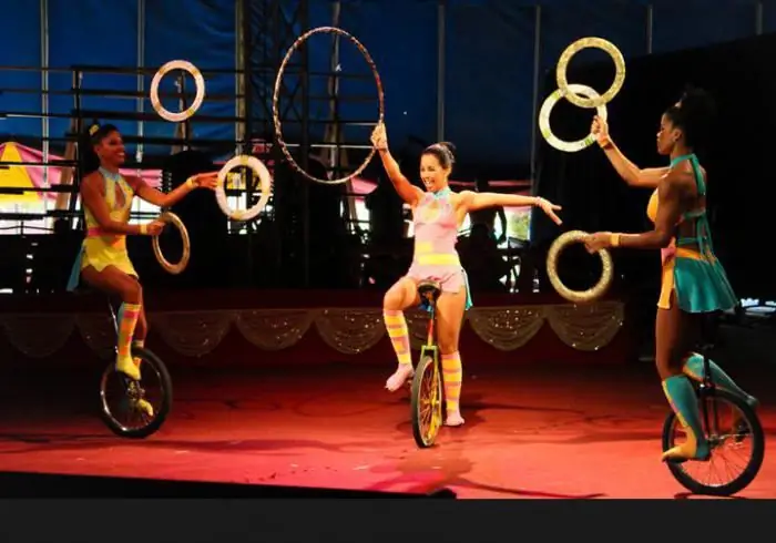 Circus: foto, arena, schema delle sale, luoghi. Clown nel circo. Animali nel circo. Giro del circo. Storia del circo. Esibizione al circo. Giornata del circo. Il circo è