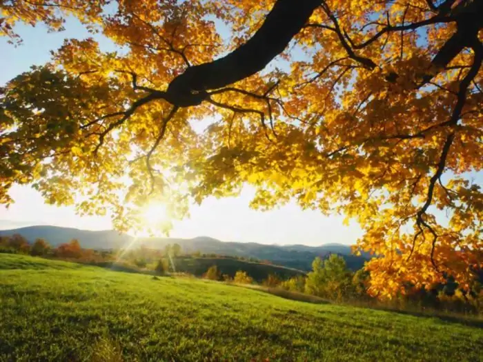 Description de l'automne doré