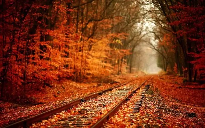 Rudens apraksts mākslinieciskā stilā: kā uzrakstīt eseju?