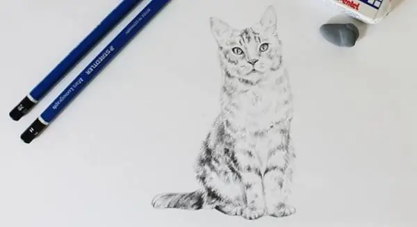 Paintings with a simple pencil