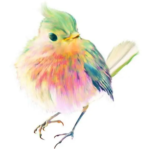 We draw birds in watercolor