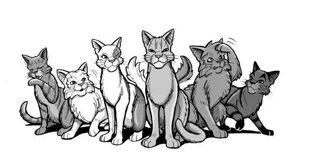 how to draw warrior cats