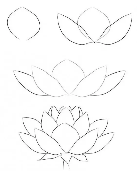 how to draw a lotus step by step