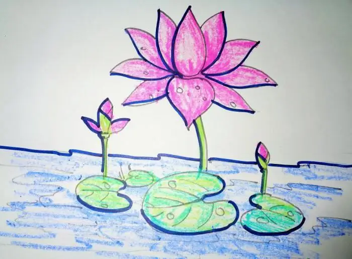 comment dessiner un lotus avec un crayon