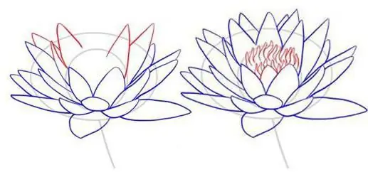 How to Draw a Lotus: A Beginner's Guide