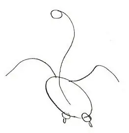 come disegnare un cigno